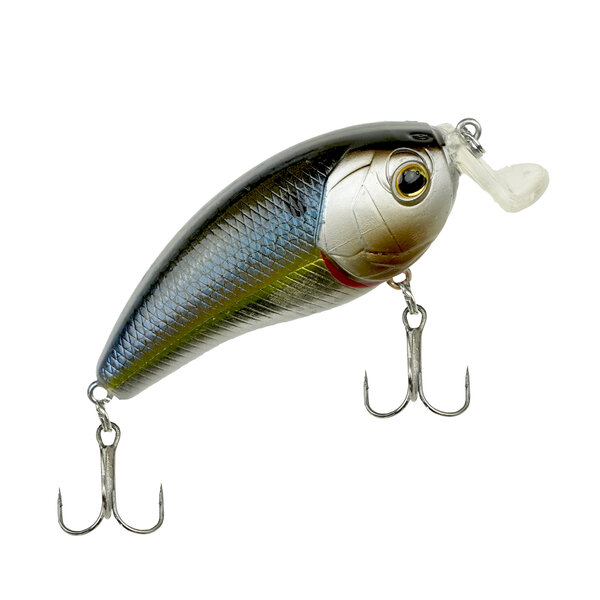 Viper -  6th Sense | Swank Series | Silver-Gold Olive Back  | 77X