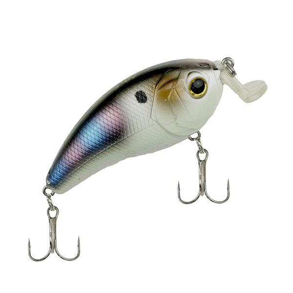 Viper | The 6th Sense | Swank Series | 4K Shad X | 77X